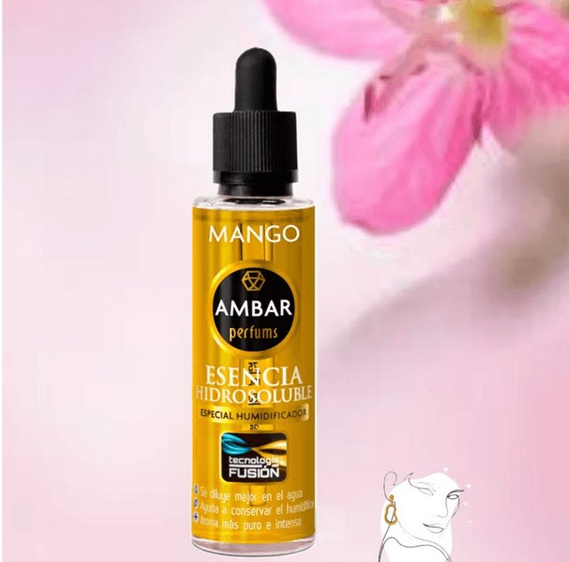 Mangue
